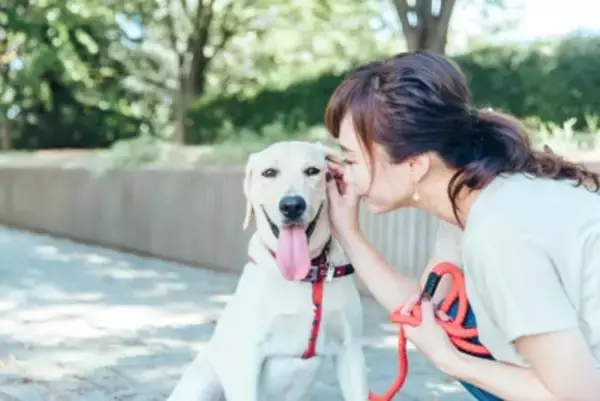 犬が嬉しがる『褒め言葉』５選　愛犬を喜ばせるために使うべきキーワードとは？