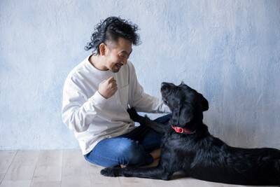 犬が『人に喋りかける』理由4選　鳴いてアピールしてくるときの心理とは？気持ちに応える方法まで