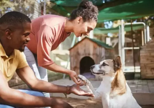 犬の『里親』に絶対なってはいけない人7選　迎えるべきではない理由や必要な覚悟まで