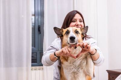 犬が日常で『幸せ』だと感じる5つの瞬間　幸福感が高まっているときにみせる行動とは？