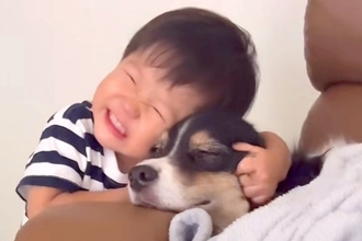 生まれた時から犬と一緒に暮らした男の子→体調が悪いと心配して…家族愛にあふれた『尊い行動』が120万再生「なんて優しい世界」「泣ける」