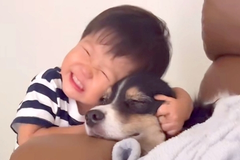 生まれた時から犬と一緒に暮らした男の子→体調が悪いと心配して…家族愛にあふれた『尊い行動』が120万再生「なんて優しい世界」「泣ける」