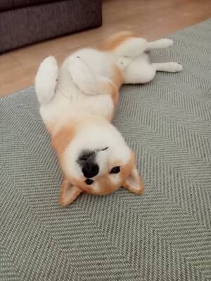 ソファでのんびり寝転がる犬→ふと様子を見てみたら、首が…絶対にくつろげていない『衝撃の姿勢』に反響