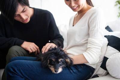 犬が『座っている飼い主の上に乗る』心理5選　可愛いけれど放っておいて大丈夫？注意点まで解説