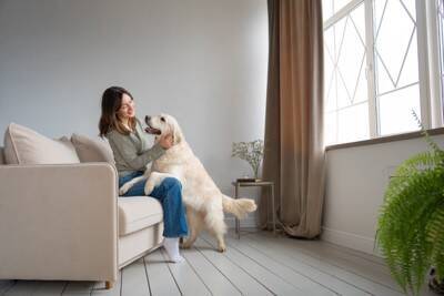 犬に伝わらない『愛情表現』5選　飼い主が良かれと思ってやりがちな意味のない行動とは？