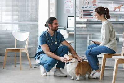 『犬に関わる仕事』年収はどのくらいなの？資格は必要？主な職種や事前に知っておきたいことまで