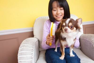 犬の『体が汚れてしまう』のはなぜ？主な原因や健康的な被毛を維持する方法までご紹介