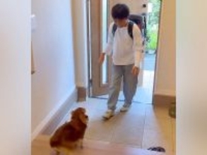 学校から帰ってきた男の子→愛犬と『2日ぶりの再会』を果たした瞬間…思わず涙が出る『尊い光景』に反響「泣けてきた…」「深い絆を感じる」