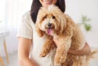 犬が『関節』を痛がっているときの行動5選　見逃したくないサインや危険な症状まで