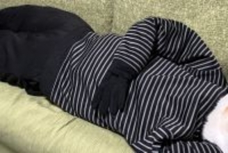 『あんなに小さかった犬が…』まさかの人間サイズに？シュールで可愛らしい光景に3万いいね「ほんと大人になってｗｗ」「でけえ…！」と反響