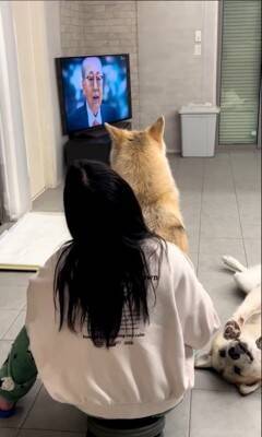 飼い主にべったり甘える犬の横には…『気付いてもらえない狼犬』の控えめなアピールが可愛すぎると406万再生「ギャップがすごい」