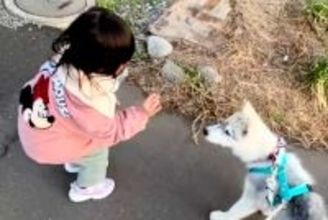 『くちぇ！』3歳の女の子が大型犬に『フセ』を指示した結果→うまく言えずに…平和すぎるやり取りが107万再生「文句言ってて草」「可愛いｗ」