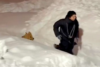 北海道の豪雪で交通網も麻痺している最中、男性と大型犬が…『全力で楽しんでいる光景』が素敵すぎると628万再生「良いコンビ」「兄弟みたい」