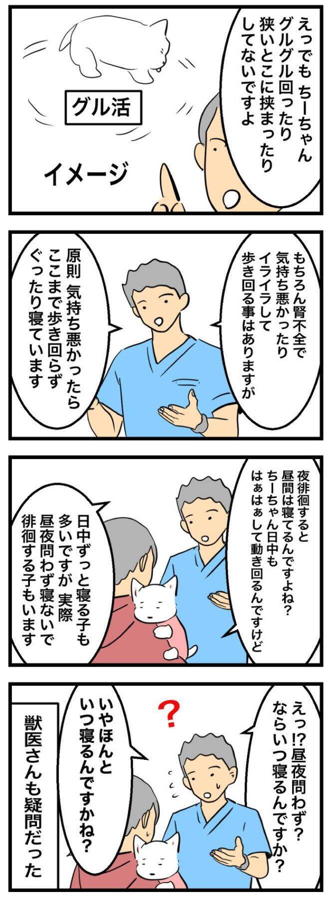 ちーちゃんですけどもっ【第349話】「夜中の徘徊は色々パターンがあるらしい」