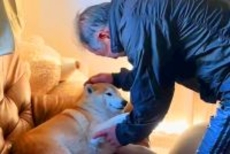 大好きなおじいちゃんと会った柴犬→ナデナデしてもらった結果…喜びが伝わる『尊い表情』に反響「ほのぼの」「幸せな笑顔」「かわいいぃぃ」