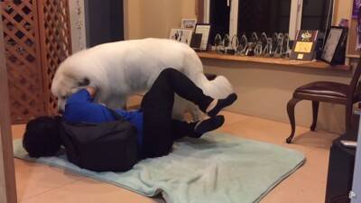 『態度を使い分ける超大型犬』が412万再生を記録　息子への無慈悲な行動に「扱いの違いが明確で面白い」「微笑ましい」