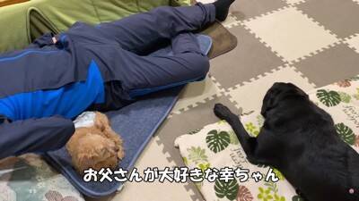 『売れ残った犬』の壮絶な物語…引き取り屋による『悲しい過去』と結末に涙「最期が幸せでよかった」「保護後の表情に感動」と495万再生