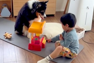『小さな男の子と犬が一緒に遊んでいる』と思ったら…？想定外だった『まさかの企み』に反響「ガン見で草」「タイミング待ちｗｗ」