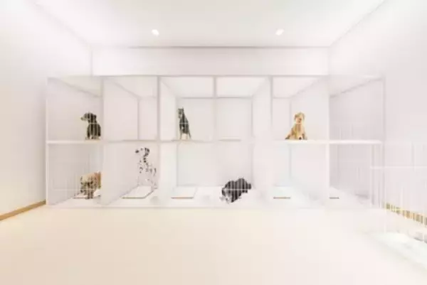 犬を『ペットホテルに何日も預ける』のはダメなこと？考えられるリスクとは