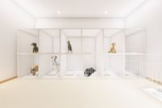 犬を『ペットホテルに何日も預ける』のはダメなこと？考えられるリスクとは