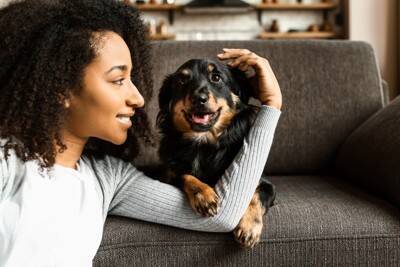 犬も人間のように『悪知恵』を働かせることはある？賢すぎるがゆえの注意点まで解説
