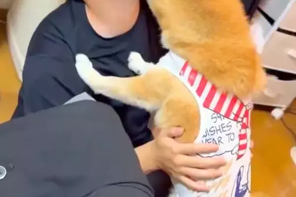 息子が家に遊びに来たら、犬が『いらっしゃい！』と大歓迎をして…あまりにも丁寧な『ごあいさつ』に絶賛の声「愛がすごいｗｗ」「大好きなんだ」