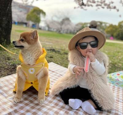 赤ちゃんと小型犬のブレイキングダウン！？謎すぎる遊びが190万回再生の大反響　「互いに大忙しで笑った」「想像超えたｗ」