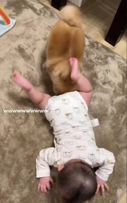 赤ちゃんと小型犬のブレイキングダウン！？謎すぎる遊びが190万回再生の大反響　「互いに大忙しで笑った」「想像超えたｗ」