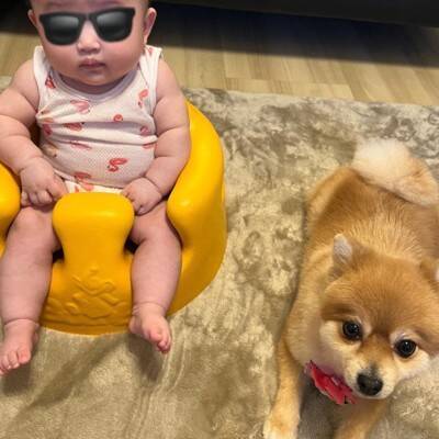 赤ちゃんと小型犬のブレイキングダウン！？謎すぎる遊びが190万回再生の大反響　「互いに大忙しで笑った」「想像超えたｗ」