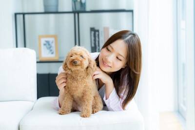 犬が『飼い主の席を横取りする』心理5つ　どんな意味があるの？注意すべき行動まで解説