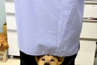 動物病院で仕事中、ふと振り返るとスタッフが…目に飛び込んできた『想定外の光景』が133万表示「シンデレラフィットで草」「ドヤ顔が尊い」