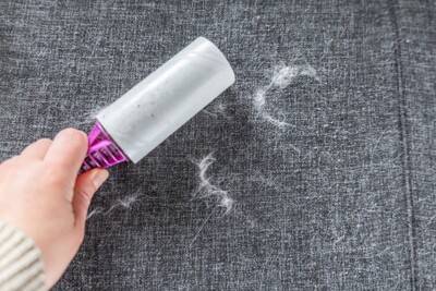 犬が病気になるかもしれない『生活環境』５選　健康被害をもたらす要因や改善策まで