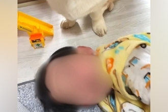 男の子が犬の前で寝転がっているところ『お手』をさせた結果→真剣な顔つきで…まさかの行動が20万再生「表情なんなん？ｗｗ」「容赦なくて草」
