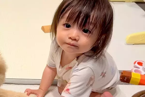 1歳の女の子が『犬を愛しすぎた』結果→お散歩終わりのお風呂にも来て…あまりにも尊い『ふたりの世界』が44万再生「天国」「おてて繋いでる」