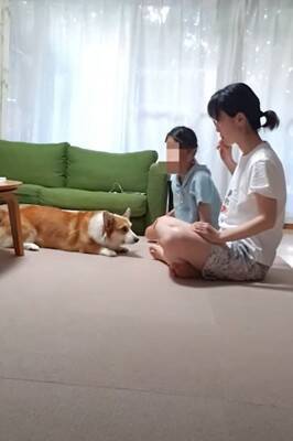 『耳掃除好きな犬』が見せた驚きの行動…まさかの"順番待ち"する姿が114万再生「自分を犬と思ってない」「うちのは嫌がりますｗ」