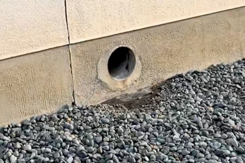 塀に開いている穴→前に立つと…？何度でも通りたくなる『まさかの光景』が60万再生「毎日行きたくなるｗｗ」「わざわざ通るまである」と絶賛