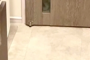 玄関に犬がいたのに気づかず、ドアを閉めてしまった結果→視線を感じたので、振り返ると…『まさかの光景』に反響「怖い怖いｗ」「圧すごくて草」