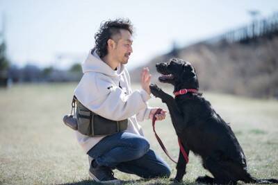 犬があなたを『チラ見』する心理4選　愛犬と目があったときに飼い主がすべき対応まで
