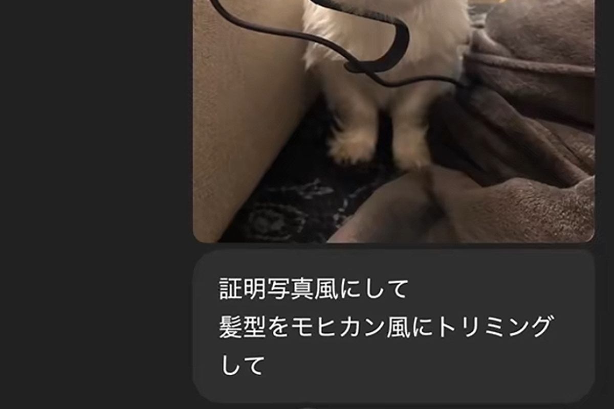 ChatGPTに『犬をモヒカンにして』とお願いしてみた結果→思っていたのと違いすぎる『まさかの髪型』に爆笑「毛伸びてて草」「別の犬ｗｗ」