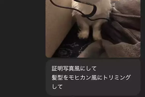 ChatGPTに『犬をモヒカンにして』とお願いしてみた結果→思っていたのと違いすぎる『まさかの髪型』に爆笑「毛伸びてて草」「別の犬ｗｗ」
