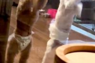 犬と泊まれるホテルで『客室露天風呂』に入った結果→ふと部屋を見ると…全くリラックスできない光景が29万再生「太鼓の達人で草」「シンクロ」