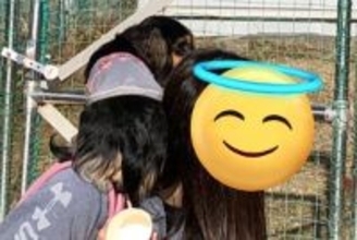 ドッグランに『他の犬がいる時』は避難してしまう犬→『誰もいない時』は…あからさま過ぎる光景に6万いいね「擬態ｗｗ」「可愛すぎる」と反響