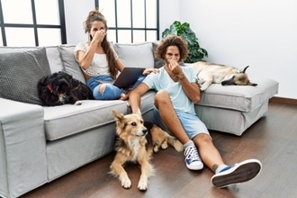 『犬の臭いを消す方法』6選　部屋に残ってしまう犬臭の原因や効果的なケアの仕方まで