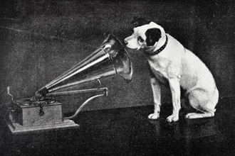 犬は『飼い主の声』を判断することができる？どうやって他人と区別しているの？