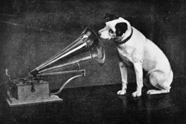 犬は『飼い主の声』を判断することができる？どうやって他人と区別しているの？