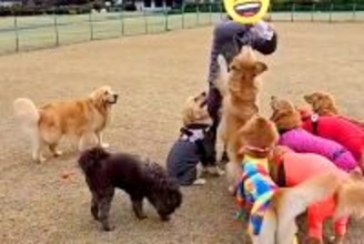 おやつをもらうのが下手くそな大型犬→『ようやく貰えた』と思ったら…まさかの『悲劇的な展開』が14万再生「守ってあげたい」「優しい…」