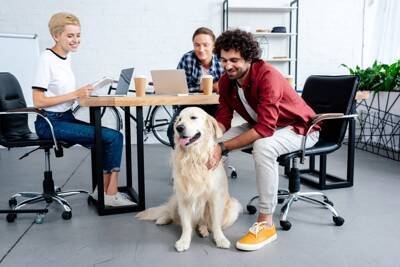 犬を飼うと『死亡リスク』が下がるって本当なの？そう言われている理由や飼い主に与えるメリットまで