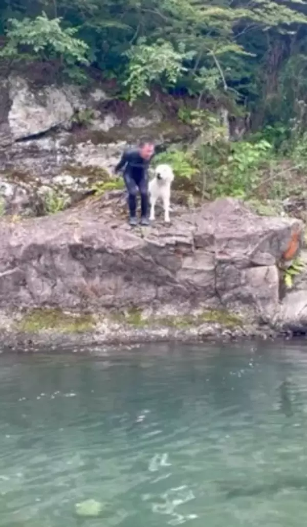 家族が『目の前で川に落ちた』結果、大型犬が…救助を試みる姿と『まさかの展開』が面白いと32万再生「気持ちは伝わる」「期待したのにｗ」