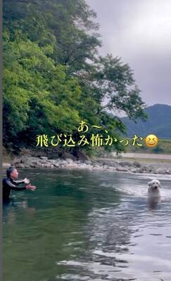 家族が『目の前で川に落ちた』結果、大型犬が…救助を試みる姿と『まさかの展開』が面白いと32万再生「気持ちは伝わる」「期待したのにｗ」