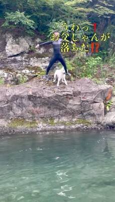 家族が『目の前で川に落ちた』結果、大型犬が…救助を試みる姿と『まさかの展開』が面白いと32万再生「気持ちは伝わる」「期待したのにｗ」